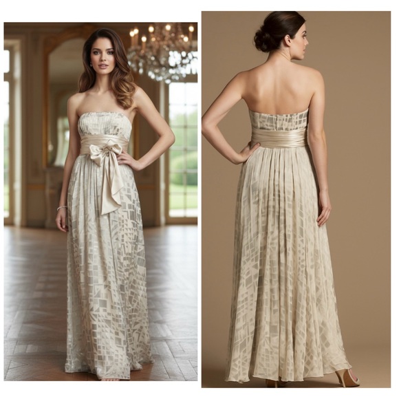 BCBGMaxAzria Dresses & Skirts - NWT - BCBGMaxAzria Long Chiffon Silk Flowy Silvery-Beige 
Gown